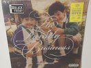 JONAS BROTHERS THE FAMILY BUSINESS: GREATEST HITS 2023 BRAND NEW SEALED VINYL LP