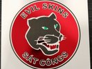EVIL SKINS ‎- Docteur Skinhead/Sát côngs. 7'' Ltd. 175 Gree Rare France Oi  Punk