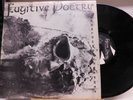 Fugitive Poetry michigan garage punk LP The Colours Of The Poet