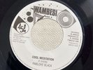 Pablove Black – Cool Meditation 7” Vinyl Single