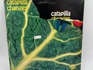 LP CATAPILLA CHANGES JAZZ ROCK ACID LSD PSYCH PROGRESSIVE PROG ITALY 72’ VERTIGO