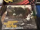SEVEN MARY THREE American Standard LP on GRAY VINYL New SEALED /700 grey record