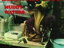 Electric Mud by Waters, Muddy (Record, 2021)