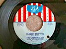 Garage  (THE CHERRY SLUSH) on U.S.A - I Cannot Stop You / Don't Walk Away- 45rpm