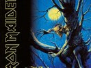 Iron Maiden - Fear Of The Dark (2x 180g Vinyl Limited Edition) New
