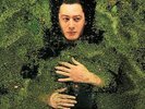 ALAIN BASHUNG FANTAISIE MILITAIRE NEW LP