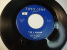 Rare Garage Psych 45 the Prophets 