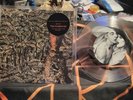 Siouxsie Into The Light/Creatures But Not Them Peel Sessions 2020 Only 25 Copies