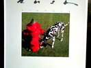 RUSH Signals LP UK 1982 orig UK pressing w. inner sleeve EX condition 2112