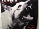DAMIEN EVERY DOG HAS ITS DAY (VG+) PROMO SEL21622 LP VINYL RECORD