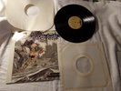 PUNK LP RECORD PUSHEAD CLEANSE THE BACTERIA PUSMORT 0012-02