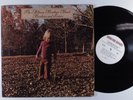ALLMAN BROTHERS BAND Brothers And Sisters CAPRICORN LP VG+ with insert z