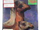 Vinyl LP-The Roches – We Three Kings MCA Records-1990-Christmas-VG+Clean-Promo