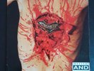 Dismember : Indecent and Obscene VINYL 12