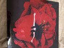 Adore by Smashing Pumpkins (Record, 2014)