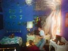 Weyes Blood | Black Vinyl LP | Titanic Rising | Sub Pop