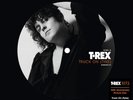 T. Rex Truck-On Tyke 50th Anniversary 7 Picture Disc