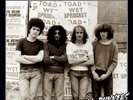 Toad The Wet Sprocket Rock 'n' Roll Runners NWOBHM saxon tank wolf iron maiden