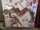 KALI UCHIS -Orquídeas - SEALED LP -ALTERNATE ARTWORK -COKE BOTTLE CLEAR VINYL