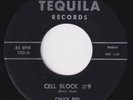 CHUCK RIO & THE INDIVIDUALS Cell Block #9 RARE r&b 45 rocker rockabilly LISTEN