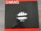 Swans 