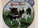 A Tribute To Pink Floyd, 2002 Germany Picture Disc Vinyl LP NM