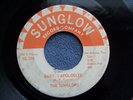 The Sunglows...Baby, I Apologize...Rock Texas Garage Orig 45 rpm 1966
