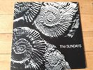 THE SUNDAYS - READING WRITING AND ARITHMETIC (ROUGH TRADE) LP INDIE