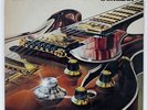 FREDDIE KING BURGLAR RSO MW2107 JAPAN VINYL LP