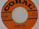 45 Buddy Holly 
