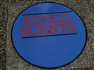 ADOLESCENTS - THE BLUE ALBUM LP Picture Disc Vinyl Record Punk Rock