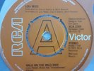 LOU REED 'WALK ON THE WILD SIDE/PERFECT DAY' UK RARE DEMO 7