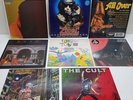 Variety Vinyl Records x8 featuring The Cult, Iron Maiden and Rush