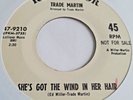 Trade Martin  * She's Got The Wind In Her Hair  * RCA VICTOR PROMO *Popcorn Soul