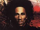 Bob Marley & The Wailers - Natty Dread (LP, Album)