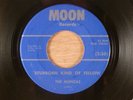 The Monzas  Stubborn Kind Of Fellow/It's Love TN Northern Soul, Garage 1965 Moon