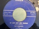 RARE Doo Wop 45 The Kinglets - Pretty Please/My Baby Don't Need Changing BOBBIN