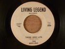 The Mor-Loks  There Goes Life/Elaine  RARE Garage  1965 Living Legend Records