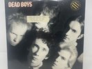 Dead Boys - We Have Come For Your Children - 1985 US Promo 1st Press Vinyl LP