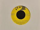 Rare Funk Soul Psych 45 Round Trip Ticket Captain Purple Rides Again GM EX