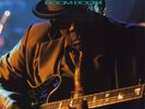 John Lee Hooker - Boom Boom (Vinyl LP - Original - UK 1992)