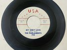Parlaments 1961 WHITE DOO WOP 45 My Only Love / To Be Alone USA DJ VG+++/M- HEAR