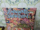 LUSCIOUS JACKSON Natural Ingredients  1994 USA LP BLUE VINYL SUPER