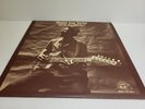 Hound Dog Taylor & The House Rockers Vinyl LP Alligator, 1971