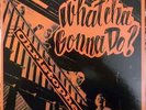 LP Christopher Whatcha Gonna Do? STILL SEALED NEW OVP Lion Productions