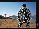 Delicate Sound of Thunder by Pink Floyd (Record, 2017) New Sealed 2xLP 180g
