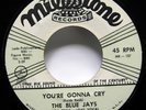 BLUE JAYS 45 Lover's Island / You're Gonna Cry MILESTONE  Doowop VG++ #3093