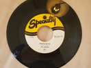 45 RPM THE ECHOES/SOMEONE/OVER THE RAINBOW        SPECIALY           VG++