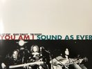 YOU AM I - SOUND AS EVER VINYL BRAND NEW
