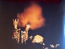 PEARL JAM RIOT ACT - VINYL 2-LP SET  